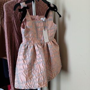 NWT Girls a loves a Princess Pink Satin Dress with Silver Trim and Velvet Bow